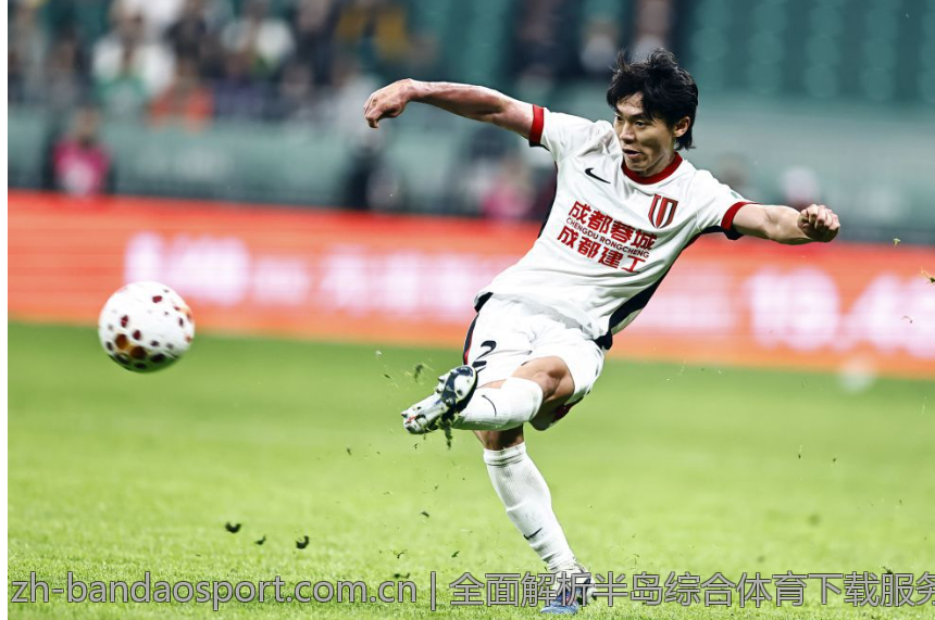 全面解析半岛综合体育下载服务